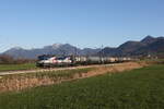 6383 202 von  ZSSK-Cargo  mit einem Kesselwagenzug aus Salzburg kommend am 8.