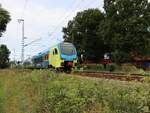Abellio Westfalenbahn Triebzug ET 413 und ET 404 bei Bahn�bergang Devesstrasse, Salzbergen 27-08-2025.

Abellio Westfalenbahn treinstel ET 413 en ET 404 bij overweg Devesstrasse, Salzbergen 27-08-2025.