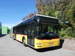 (290'971) - CarPostal Ouest - VD 1213/PID 5027 - MAN (ex SEFA, Aubonne; ex ARCC Aubonne) am 19. September 2026 in Kerzers, Interbus
