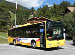 (290'829) - GrindelwaldBus, Grindelwald - Nr.
