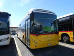 (290'956) - PostAuto Wallis - VS 459'800/PID 10'640 - Volvo (ex Nr. 77) am 19. September 2026 in Kerzers, Interbus