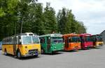 (286'767) - Gast, Reutigen - BE 24'079 - FBW/FHS (ex Nr.
