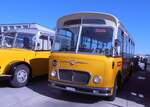 (290'552) - R�ber, Mettmenstetten - ZH 546'297 - FBW/Gangloff (ex 23'202; ex P 21'002) am 29. August 2026 in Oberkirch, CAMPUS Sursee
