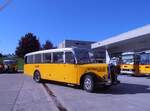 (290'531) - Remund, Niederuzwil - SG 399'288 - Saurer/Saurer (ex Keel, Illnau; ex P 23'110; ex P 2164) am 29. August 2026 in Oberkirch, CAMPUS Sursee