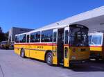(290'540) - Schmid, Th�rishaus - BE 26'206 - Saurer/T�scher (ex P 24'244) am 29. August 2026 in Oberkirch, CAMPUS Sursee