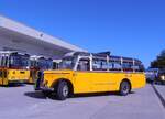 (290'553) - Buchser, Buchs - AG 14'943 - Saurer/Krapf (ex Dubach, Walde; ex Bearth, Brigels Nr. 1; ex P 22'060; ex Tscharner, Thusis) am 29. August 2026 in Oberkirch, CAMPUS Sursee
