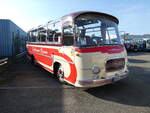 (291'333) - Aus Deutschland: Friedmann, Schweighofen - S�F-F 20H - Setra am 2.