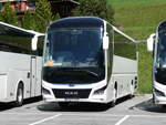 (290'805) - Aus Polen: ??? - WGM 8191N - MAN am 11.