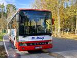 Setra 317 UL von Plauer Busbetrieb M.