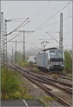 In Kornwestheim PB steht die Railpool 6193 161 auf einem Abstellgeleis. Das Bild wurde vom S-Bahn Bahnsteig mit ziemlich viel Zoom gemacht. 

19. Okt. 2026