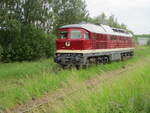 Durch das Gras k�mpfte sich die EBS 142 001,am 30.Mai 2026,in Bergen/R�gen.