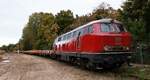 DB/LR 219 001-5/ V 169 001 mit kurzem Bauzug abgestellt bei Rendsburg.