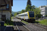 612 109 und 612 104 in Bad S�ckingen.