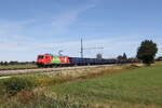 6185 205 'Das ist gr�n' war am 30. August 2026 bei �bersee am Chiemsee in Richtung M�nchen unterwegs.