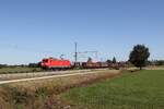 6185 285 mit einem gemischten G�terzug aus Salzburg kommend am 28.