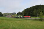 6189 822 war mit 'LKW-Zugmaschinen' am 8. Mai 2026 bei Axdorf in Richtung Freilassing unterwegs.