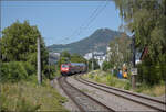 Fremdlok 146 202 mit vertragswidrig kurzer Schwarzwaldbahn in M�hlhausen.