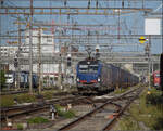 Ein noch nicht individualisierter Vectron 193 492 und 193 483 von GTS ziehen einen GTS-Zug durch Pratteln. August 2026.
