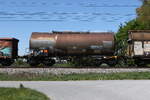 7931 909 (Zacens) von 'WASCOSA' am 30. April 2026 bei �bersee am Chiemsee.