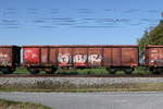 5368 030 (Eaos-x) am 28.