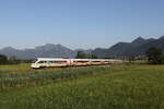 411 553  Ilmenau  und 411 562 Vaihingen an der Enz  aus Graz kommend am 25.