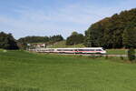 411 002  Neubrandenburg  und 411 081  Oberursel  auf dem Weg nach Salzburg.