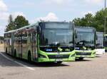 MAN Lion's City EfficientHybrid von Regionalbus Rostock in Rostock.