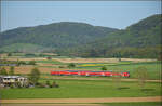 Ade Dieselloch - Nach 113 Jahren...

245 007 bei Erzingen (Baden) in der Weite des Klettgau. April 2026.