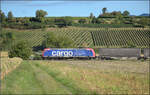 Re 482 009 'Starke Typen' von Nordic Refinance mit Werbung f�r SBB Cargo-Lokf�hrer und Containern auf dem Weg nach Norden.
