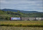 Re 482 009 'Starke Typen' von Nordic Refinance mit Werbung f�r SBB Cargo-Lokf�hrer und Containern auf dem Weg nach Norden.