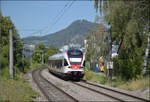 RABe 521 205 und RABe 521 206 (im Bild) in M�hlhausen.