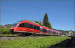 Relikte der Elektrifizierung von S�ckingen, w�hrend 644 024 von Bad S�ckingen nach Basel aufbricht.