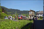 Relikte der Elektrifizierung von S�ckingen, w�hrend 644 024 von Bad S�ckingen nach Basel aufbricht.