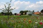 Flowerpower in Pfaffenhausen. 642 212 setzt am 02.08.2012 gerade um.