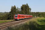 612 463 und 612 124 am 19. Juni 2026 bei Pechbrunn.