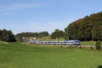 430 005 und 430 011 aus M�nchen kommend am 2.