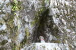 (288'695) - Trollh�hle in den Felsen am 16.