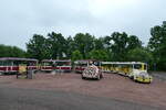 (287'739) - 2 x �lgsafari, Markaryd - am 8.