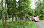 (287'781) - �lgsafari, Markaryd - am 8.
