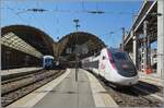  Nice Ville - Nice Ville  erklang es in meinen Ohren, als wir nach �ber 15 Jahren wieder in Nice ankamen.