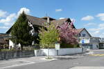 (286'282) - Bl�hende Str�ucher am 21.
