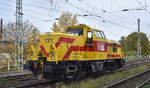 Mitteldeutsche Eisenbahn GmbH, Merseburg-Schkopau mit der von ALSTOM Lokomotiven Service GmbH geleasten �Prima H3� Hybridlok '133' (NVR: '90 80 1002 029-9 D-ALS') am 29.10.26 H�he Bahnhof Magdeburg Neustadt.