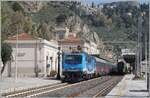 Im wundersch�nen Bahnhof von Taormina-Giardini wartet die FS Trenitalia E 464 231 mit ihrem Nachtzug ICN 1959 von Roma Termini (ab 23:30) nach Siracusa (12:52) auf die Weiterfahrt. Der Vollst�ndigkeit halber: Am Schluss des Zuges befindet sich die FS ...
