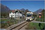 Kurz nach Domodossola, auf dem Gemeindegebiet vom hoch gelegen Trontano ist auf dem langen, flachen und geraden Streckenabschnitt in Richtung Malesco der FART ABe 4/8 N° 45 als 'Centovalli-Express' als PE 72 nach Locarno unterwegs.  

31. Okt. 2024