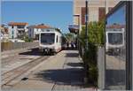 Nur kurze Zeit blieb f�r den Programmpunkt 'Bahnfotografie Sardinen', danach schauten wir uns den wundersch�nen Ort Alghero an. Und zugegebenermassen muss ich festhalten, dass ein (mir von der Form her bekannter) Stadler Doppeldieseltriebwagen als Mo ...