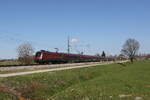 1116 242 war am 7. April 2026 bei �bersee am Chiemsee in Richtung Rosenheim unterwegs.