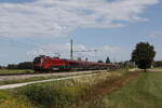 1116 204 aus Salzburg kommend am 8. September 2026 bei �bersee am Chiemsee.