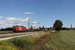 1293 095 mit einem gemischten G�terzug aus Salzburg kommend am 1.