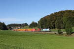 6193 238 von  WLC  mit einem Containerzug aus M�nchen kommend am 29.