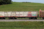 5341 031 (Eaos) von 'RCW' am 26. Juni 2026 bei Axdorf.